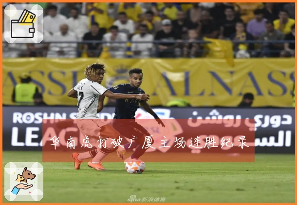 华南虎打破广厦主场连胜纪录